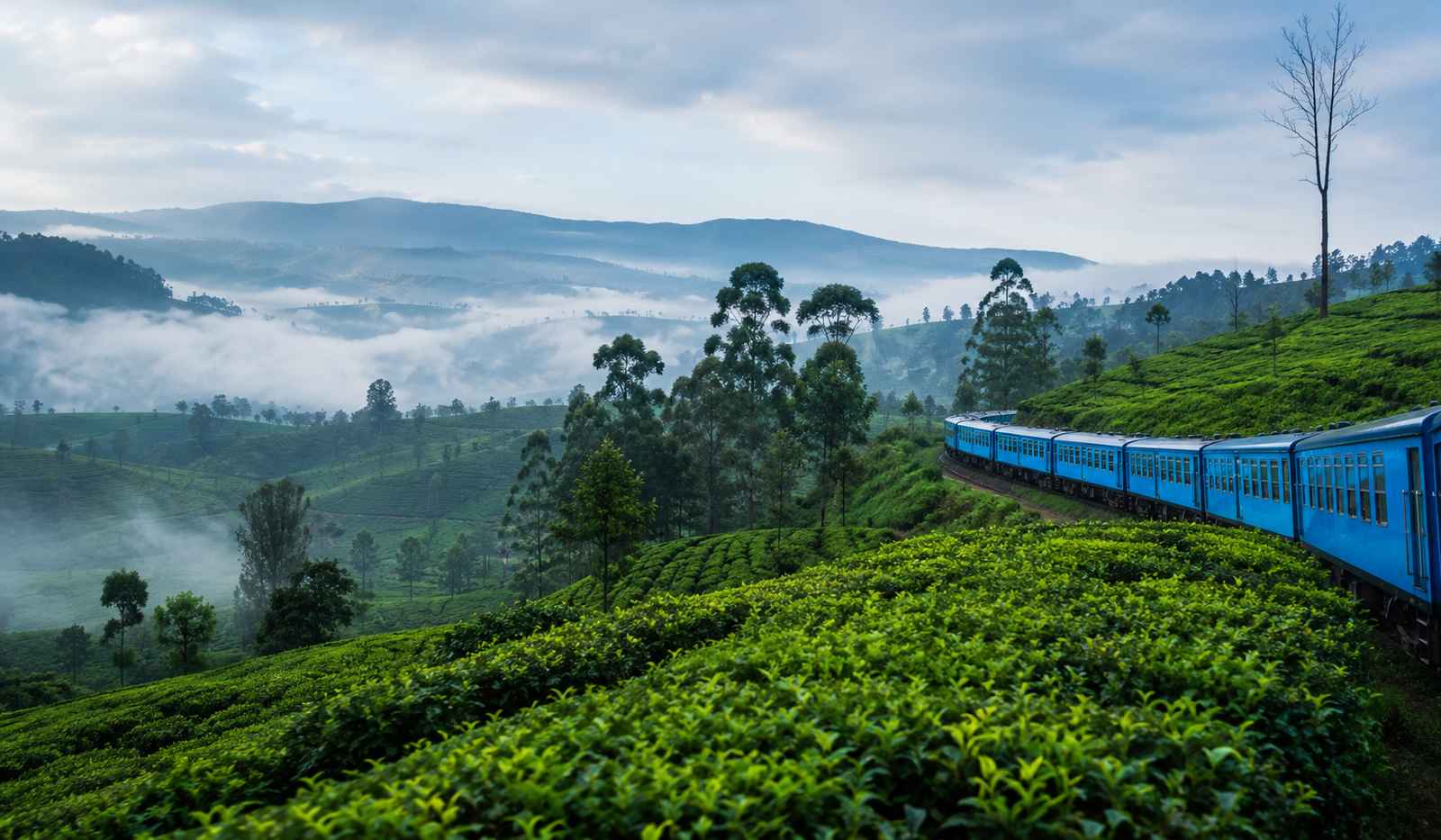 Scenic train journey through the green hills of Ella Sri Lanka