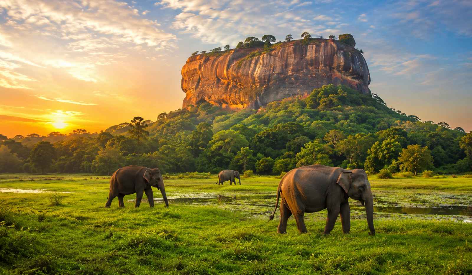 Best Time to Visit Sri Lanka 2026:.