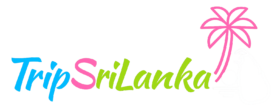 Trip SriLanka
