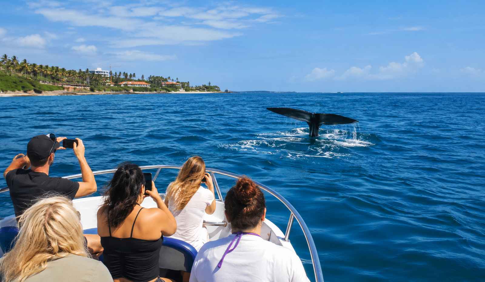 Mirissa Travel Guide 2026: 9 Best Things.