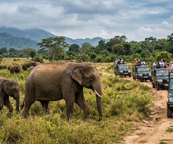 Sri Lanka scenic travel destinations high resolution landscape