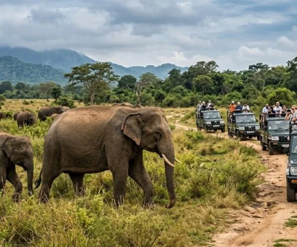 Sri Lanka scenic travel destinations high resolution landscape