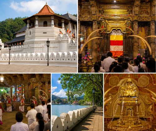 Temple of the Tooth Visitor Guide 2026 showing devotees in white clothing at Sri Lanka's most sacred Buddhist temple