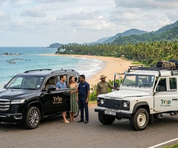 A detailed view of a private chauffeur service offering authentic local experiences at a fruit stand in the lush hill country of Sri Lanka.