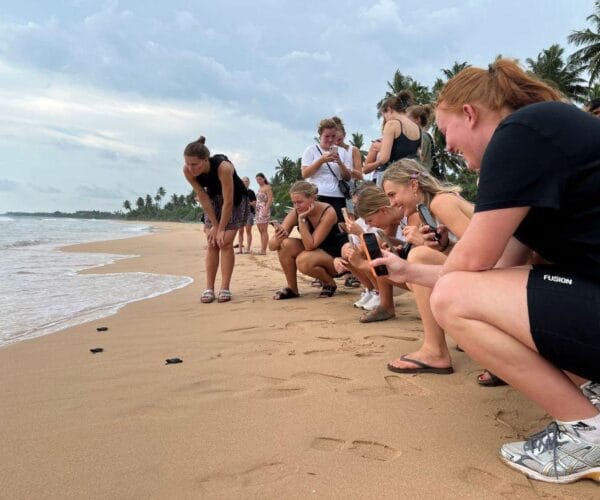 Dutch family learning about sea turtle conservation during their holiday in Sri Lanka