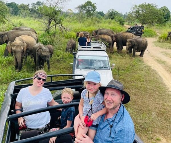 Best Sri Lanka itineraries for UK families with elephants on safari