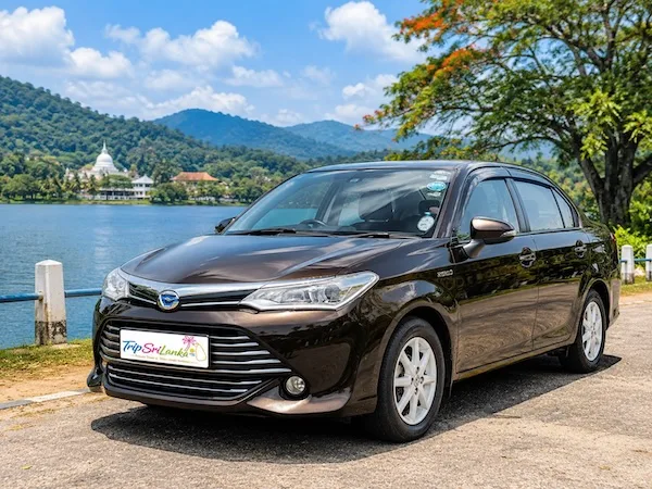 Private Sri Lanka tour car with English-speaking chauffeur